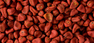 Высококачественный экстракт кошенили - Product Image 4