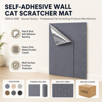 Planche à gratter pour chat, tapis à gratter, jouet d'intérieur pour chat, protection de meubles, accessoire pour animaux de compagnie pour le jeu à la maison et les soins quotidiens des pattes