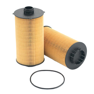 Filtro de aceite de repuesto para motor diésel de camión al por mayor 5801415504 ML4546 S5102PE 2510200 filtro de aceite para Iveco - Product Image 1