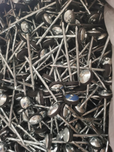 Prezzo economico testa dell'ombrello zincata liscia/codolo ritorto 9G 12G chiodi per tetto chiodi per <span class=keywords><strong>tetti</strong></span> ondulati zincati per coperture - Product Image 6