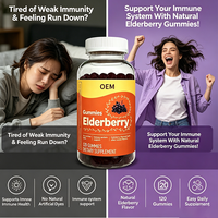 Gummies à la baie d'églantier pour soutenir le système immunitaire, saveur naturelle, sans colorants artificiels, 120 gummies, complément OEM