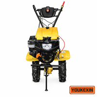 Minicultivador de Gasolina de Alta Calidad con Accionamiento Directo, Ligero (70 kg), Alto Torque, 6/8 Velocidades, para Proveedores de Huertos