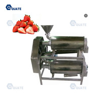 Kleinschalige Tamarinde Mango Zaad Verwijderen Tomaat Aardbei Pastap Maken Extractie Fruitpulp Machine