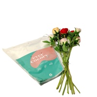 CPP zak met opdruk van aangepast logo, hitteverzegeld, trapeziumvormig, voor bloemen