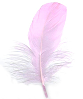 Plume d'oie de citron vert pour Arts artisanat bricolage stylo aile coiffure fête carnaval Costume chapeau cheveux accessoire Halloween maison décor de noël