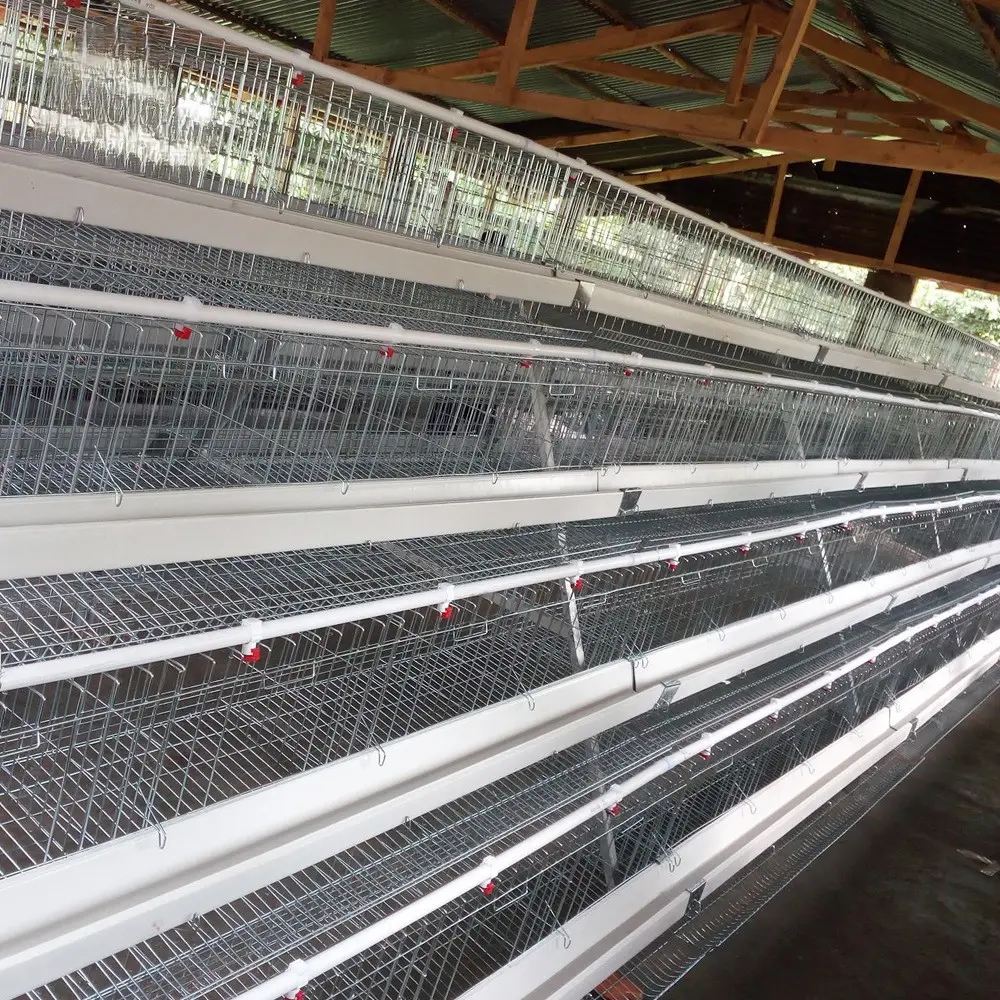Cage de poule pondeuse d'oeufs de tigarl/cage d'élevage de poulet/cage de poulet à vendre (fabricant professionnel)