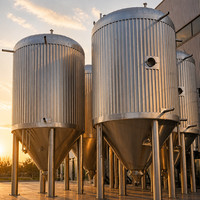 Cuve de Fermentation Industrielle Tonsen 100HL-500HL, Unitank Conique Encaissé Grande Capacité 10000L pour Brasserie Artisanale