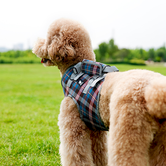 Регулируемая воздухопроницаемая Подвеска для собак по разумной цене, одежда для собак на передние лапы