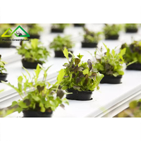 Système hydroponique à tuyaux en PVC multicouches |   Solution de serre modulaire pour la culture verticale de fraises et d'herbes