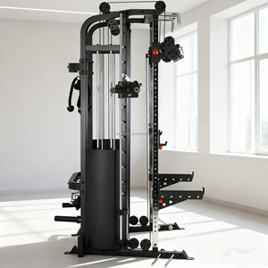 Gymnase à domicile professionnel de haute qualité avec deux stations à vendre, machine de musculation complète, multigym - Product Image 2