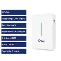 Batterie LiFePO4 10KWh RW-F10.6 batterie au lithium-ion 51.2v 208Ah fonctionnement parallèle 10KWh pour système solaire