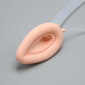 Altri Materiali di Consumo Medici Maschera Laringea Standard Monouso in Silicone con Barra di Alta Qualità <span class=keywords><strong>LMA</strong></span> - Product Image 5