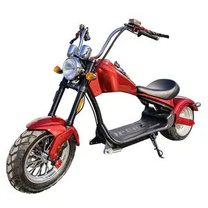 X12 Nzita factory best price 1500w 60v electric new model off road motorcycle standing scooter citycoco scooter eec coc approved