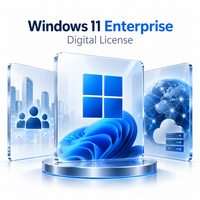 Sistem Operasi Windows 11 Enterprise Edition untuk Organisasi Besar, Jaringan Bisnis, Komputer Tersedia, Dilengkapi Internet