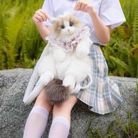 Sac à dos en peluche chat Ragdoll mignon, poupée apaisante, cadeau d'anniversaire pour filles, idéal pour le dropshipping