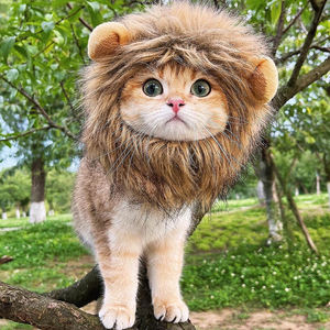 ZYZ <span class=keywords><strong>PET</strong></span> Löwen mähne Perücke Katzen kostüm Haustier verstellbar wasch bar Komfortabel Phantasie Löwen haar Katzen kleidung - Product Image 1