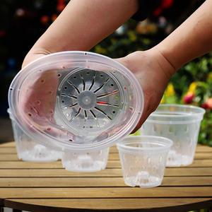 Vasi per <span class=keywords><strong>Orchidee</strong></span> in Plastica Trasparente Durevole JQ, Vasi per Piante Phalaenopsis, Contenitori in Plastica Trasparente per <span class=keywords><strong>Orchidee</strong></span> - Product Image 3