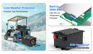Precio de Fábrica, Batería de Litio de Ciclo Profundo de 36V 48V 60V 72V 105Ah 150Ah 200Ah 48 Voltios para Carritos de Golf GP51105 con BMS Integrado - Product Image 2