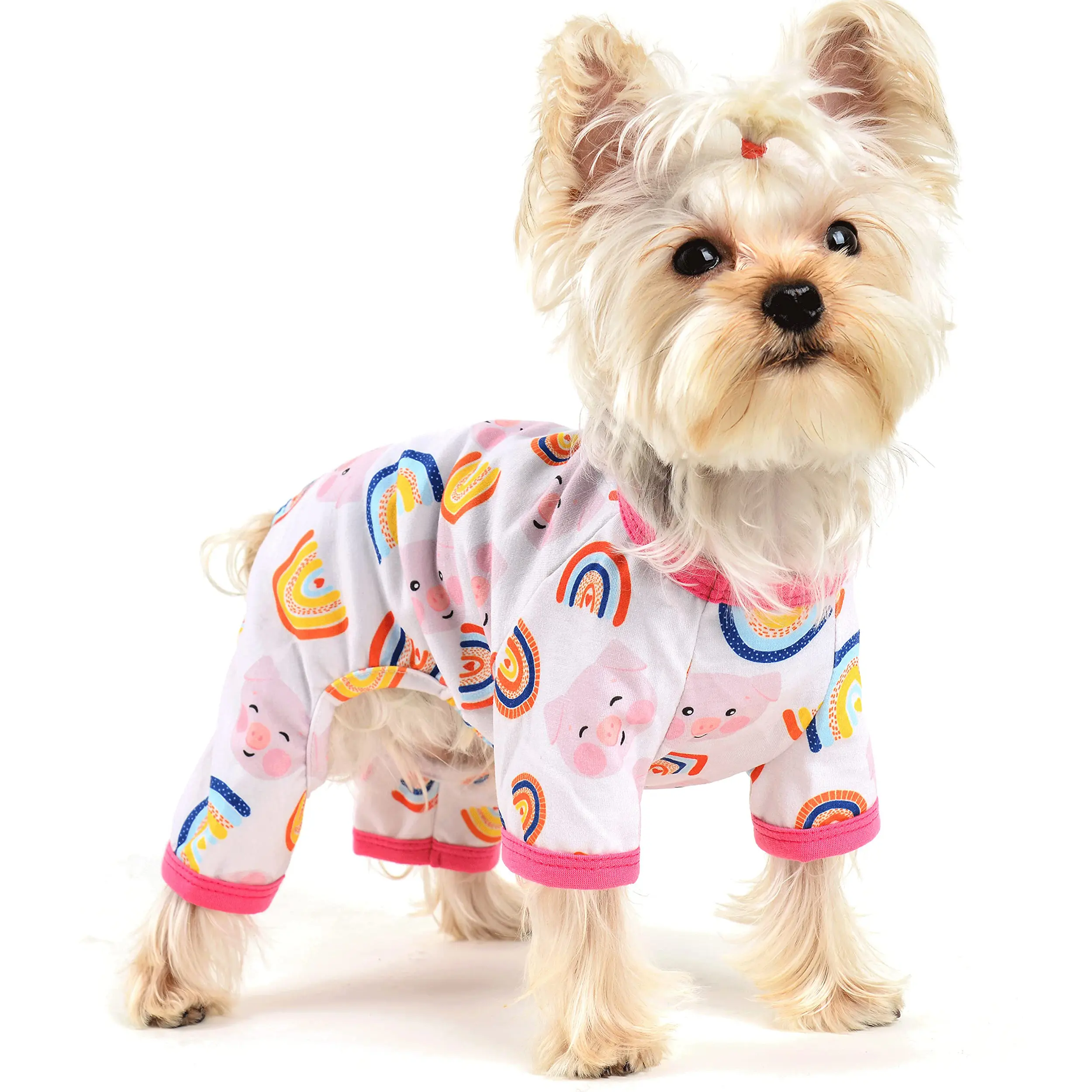 US Warehouse Customized Low Moq Funny Yorkie Rainbow Dog Boy Accesorios Para Mascotas Four Legs Pet Supplies Cat And Dog Clothes