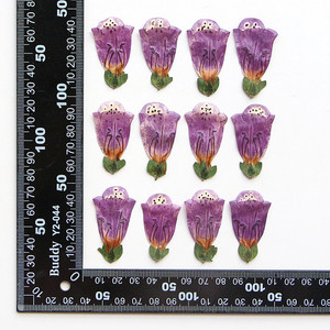 All'ingrosso fai da te materiale essiccato digitale purpurea fiori pressati per Nail Art gioielli in resina decorazione di candela da cartolina - Product Image 6