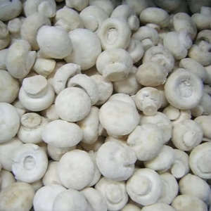 IQF fetta di fungo Champignon 100% congelato/intero/fungo bianco Shiitake fungo selvatico/coltivato - Product Image 2