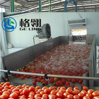 Complete Vruchtensapverwerkingslijn Voor Wortelsap Tomatensap Jam Productie