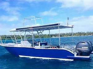 Barco de Pesca de 9m con Certificación CE, Aluminio 5083, Totalmente Soldado, Consola Central, Techo Grande, con Motor Fuera de Borda - Product Image 3