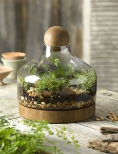 Personalizado grande claro flor flores <span class=keywords><strong>bonsai</strong></span> terrario plantas de flor cúpula - Product Image 6