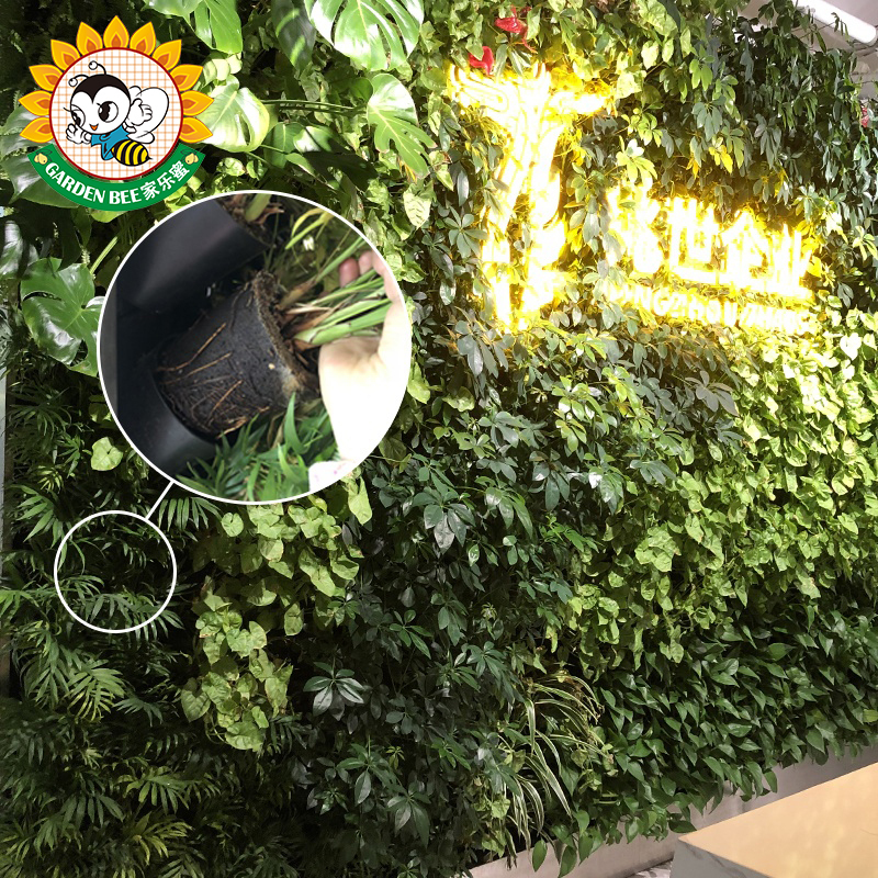 Garden Bee High Quality Wholesale UV
