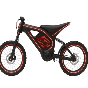 Source Factory Electric Racing Motorcycle 60V 80km/h