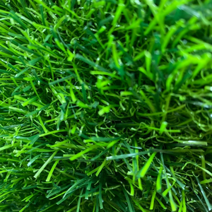 Factory Priced Outdoor Sports Artificial Turf for Football &amp; Cricket High Quality Soccer <strong>Pitch</strong> Turf - Product Image 6