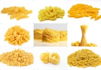 Machine à pâtes électrique automatique, extrudeuse de spaghetti à tube creux, nouilles de macaroni formant la machine à pétrir la pâte