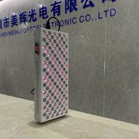 Panneau de luminothérapie rouge 600W pour le corps entier, gestion facile de la douleur à domicile