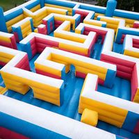 Parcours d'obstacles gonflable sur le thème du labyrinthe coloré, équipement de terrain de jeu extérieur, château gonflable pour des jeux de fête amusants