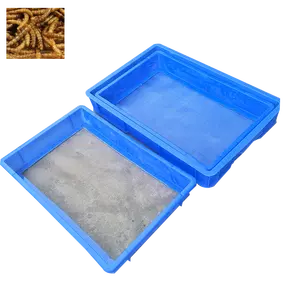 Box for Mealworms Crate|mealworm breeding box|Plastic Food Container