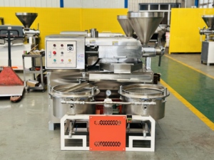 DSOILPRESS Nueva Prensa de Aceite de Nuez Semiautomática de Acero Inoxidable, Extractor de Aceite de Alta Capacidad, Procesamiento de Pequeños Lotes, Capacidad de 50 kg/h - Product Image 2