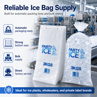 Sac d'emballage pour glace en LDPE imprimé sur mesure, de qualité alimentaire, résistant au congélateur, avec poignée, pochette en plastique robuste pour la transformation de la glace