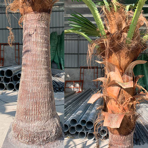 Plástico alto conservado Interior Exterior Planta grande Artificial <span class=keywords><strong>Washingtonia</strong></span> ventilador palmeras para decoración Mini palmera - Product Image 6