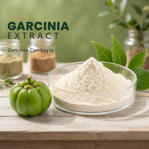 Extracto de Garcinia Cambogia en Polvo 60% HCA, Probado por HPLC, Grado Alimenticio, Polvo Fino Blanco para Suplementos Dietéticos y Fórmulas Herbales - Product Image 3