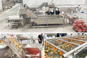 Máy tách hạt lựu tự động Gelgoog, máy tách hạt lựu, máy bóc vỏ lựu tự động - Product Image 5