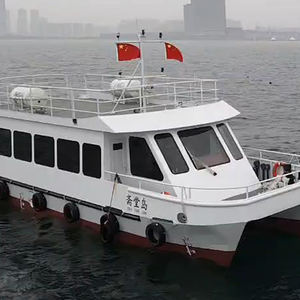 Autobús acuático de catamarán de aleación de aluminio de China | Barco de pasajeros turístico a la venta - Product Image 1