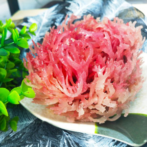 Gelidio natural, suministro de fábrica, N11, gran oferta, precio barato - Product Image 3