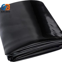 Промышленная геомембрана из ПНД (HDPE) для гидроизоляции, широко используемая в проектах водохозяйственного строительства