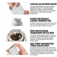 Nouveau design Gadgets de cuisine Moulin à sel et à poivre en plastique RPET Moulin à épices portable Mini moulin à sel et à poivre manuel réglable