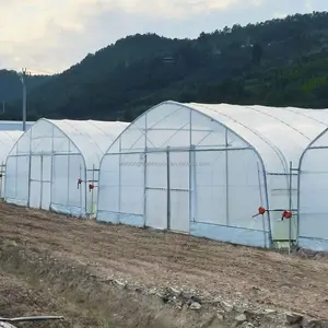 Marco de acero galvanizado Invernadero de película de PE de un solo tramo para agricultura