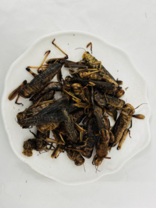 แมลงที่กินได้ที่เป็นมิตรต่อสิ่งแวดล้อมกำลังขายดี ตั๊กแตน จิ้งจก <span class=keywords><strong>ปลา</strong></span> และซาลาแมนเดอร์ เป็นอาหารที่มีประโยชน์ต่อสุขภาพ - Product Image 4