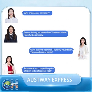 Export FBA Customs Express to France Shipping Agent Freight Agent Cargo Import Forward Shipment Logistics Service <strong>Transport</strong> - Product Image 3