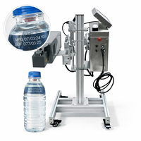 Máquina de Marcado Láser de CO2 Dafeng DF-5300 de 30W, DXF/BMP, Alta Precisión, Refrigeración por Agua para Línea de Producción de Alta Velocidad, Código de Fecha