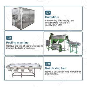 ORME Chine Ligne complète de production de noix de cajou brutes entièrement automatique Usine de transformation de noix de cajou - Product Image 5