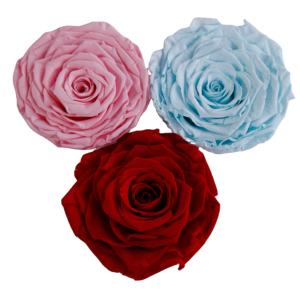 Roses <span class=keywords><strong>éternelle</strong></span>s avec fleurs er, 7/lot, Roses conservées, vente en gros - Product Image 1